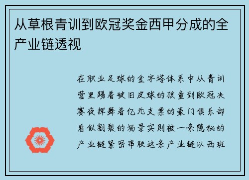 从草根青训到欧冠奖金西甲分成的全产业链透视
